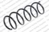 ROC CS8125 Coil Spring